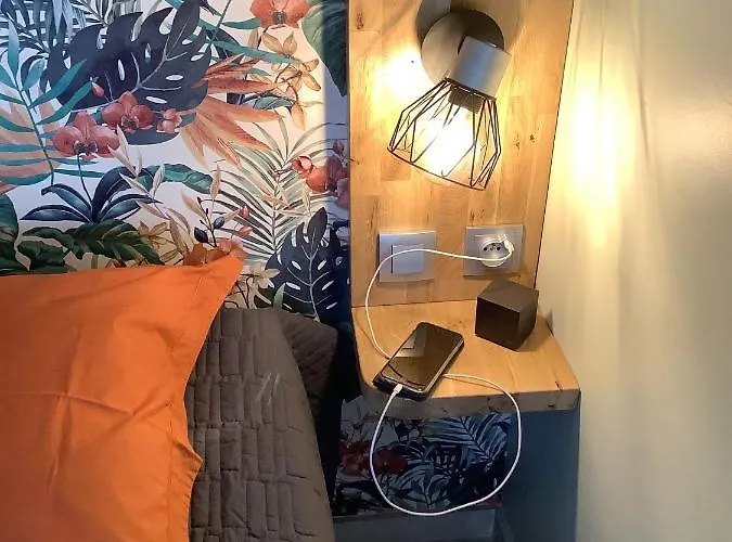 Mimosa Croisette * Cannes