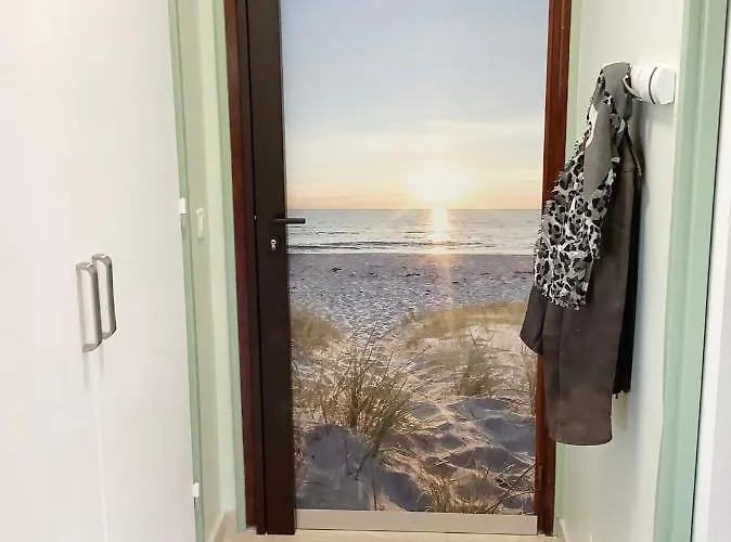 Mimosa Croisette * Cannes