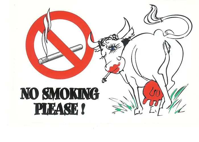 Apartament Mimosa Croisette Cannes