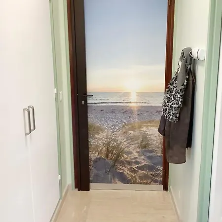 Mimosa Croisette * Κάννες
