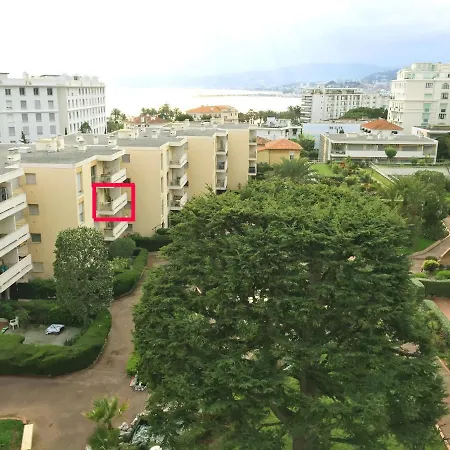 Mimosa Croisette