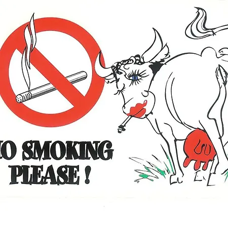 Appartamento Mimosa Croisette Cannes