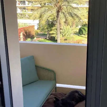 Mimosa Croisette Appartamento